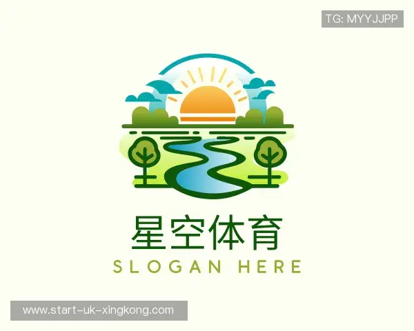 介绍XINGKONG官网入口